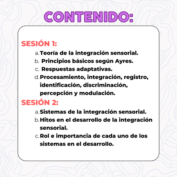 Curso intensivo de integración sensorial