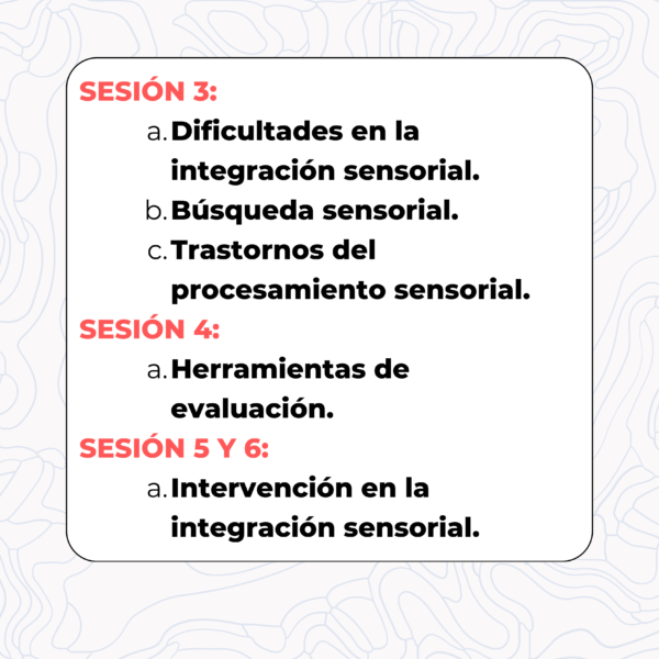 Curso intensivo de integración sensorial - Image 2