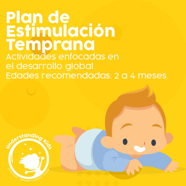 Desarrollo Global: actividades enfocadas en estimular el desarrollo global de bebés de 2 a 4 meses.